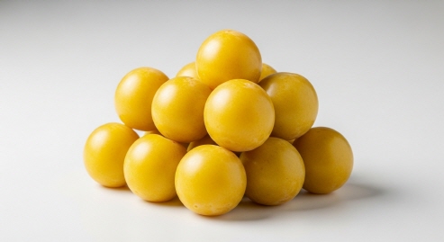 청결한 매실 정리&amp;#44; 밝은 조명