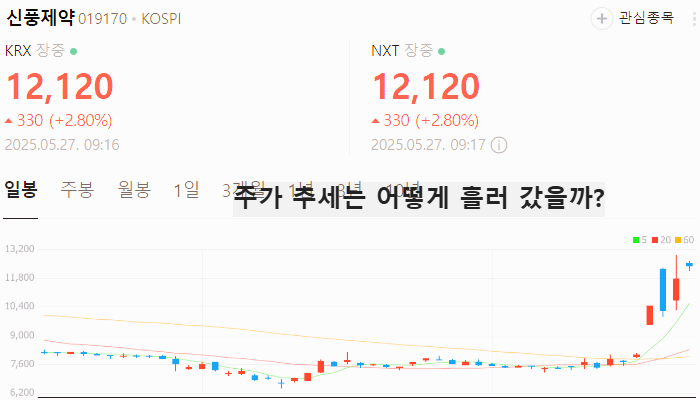 코로나 백신 관련주 대장주 테마주 TOP5