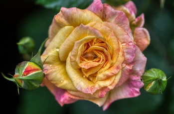 가족 체험 프로그램 3