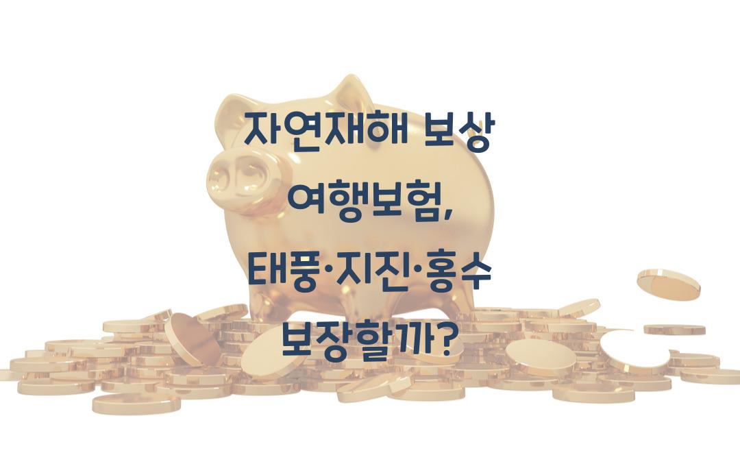 자연재해 보상 여행보험 – 태풍, 지진, 홍수까지 보장 가능할까?