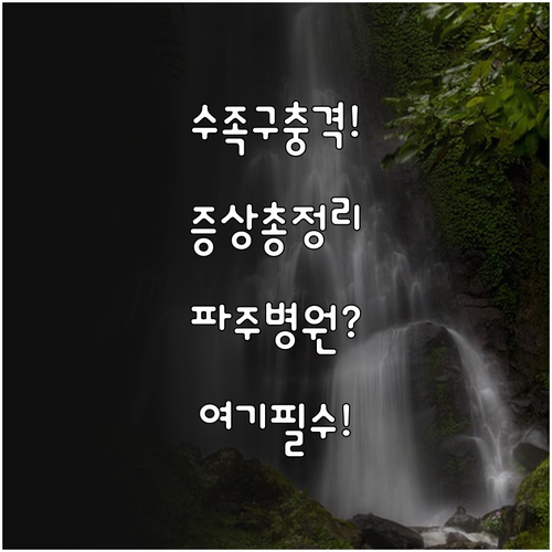수족구 증상부터 파주시 병원 선택까지..