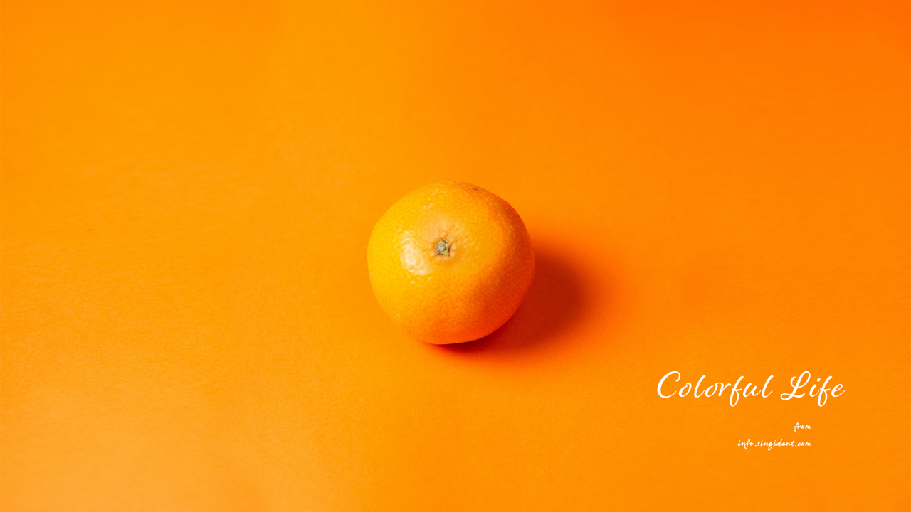 03 귤 C - Colorful Life 주황색배경화면