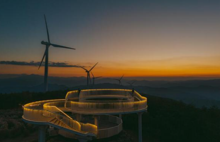 감악산 아스타국화 축제