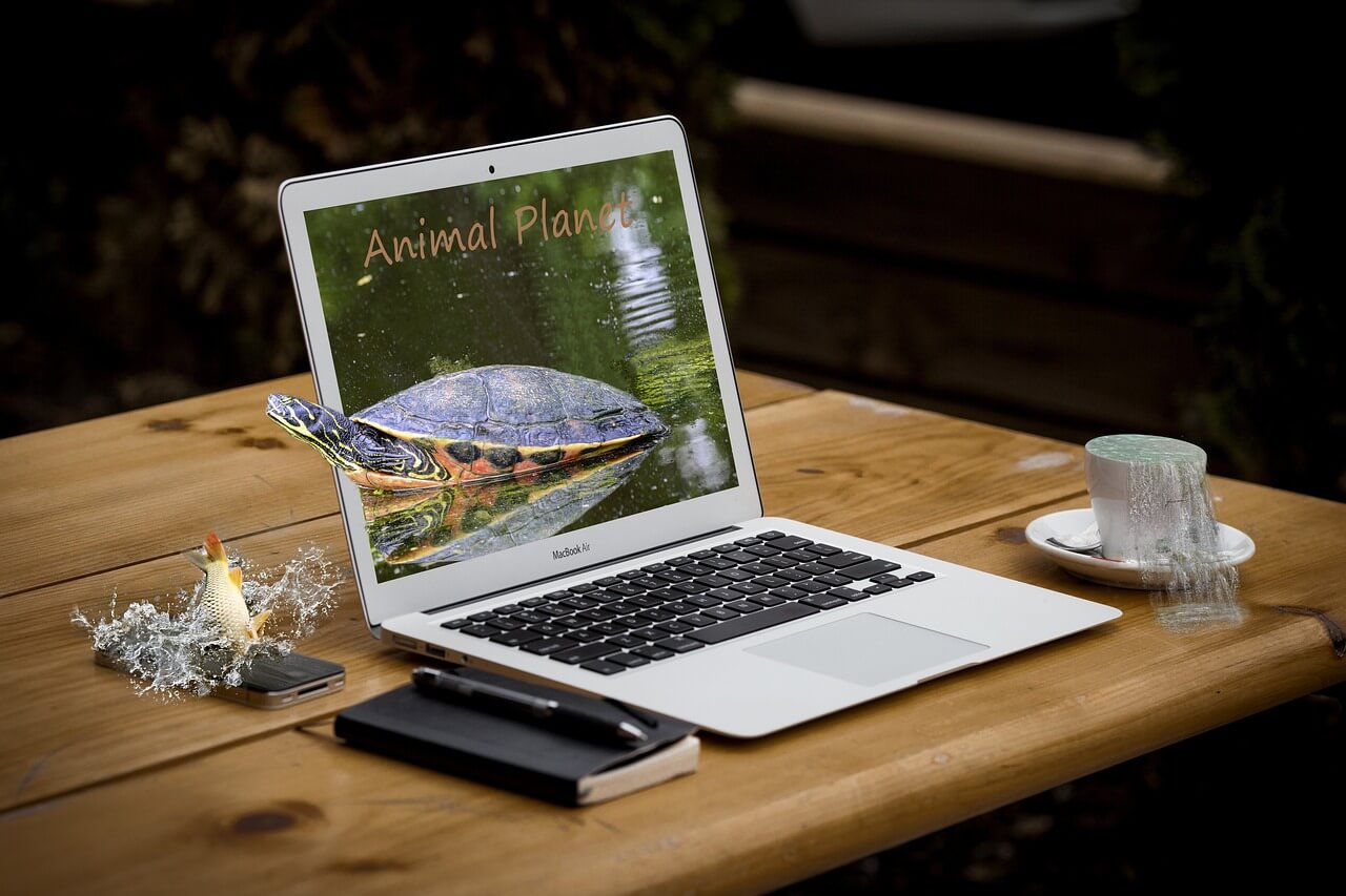 2025 디지털노마드 비자 신청 시 영주권 트랙으로 전환 가능한 국가