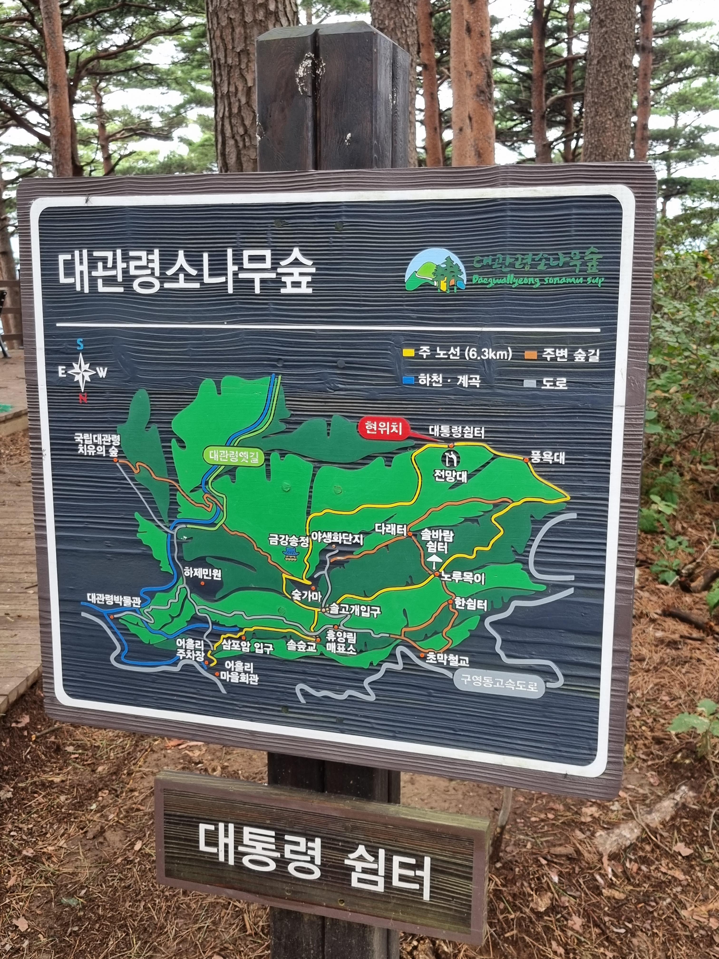 대관령_자연휴양림_트레킹코스