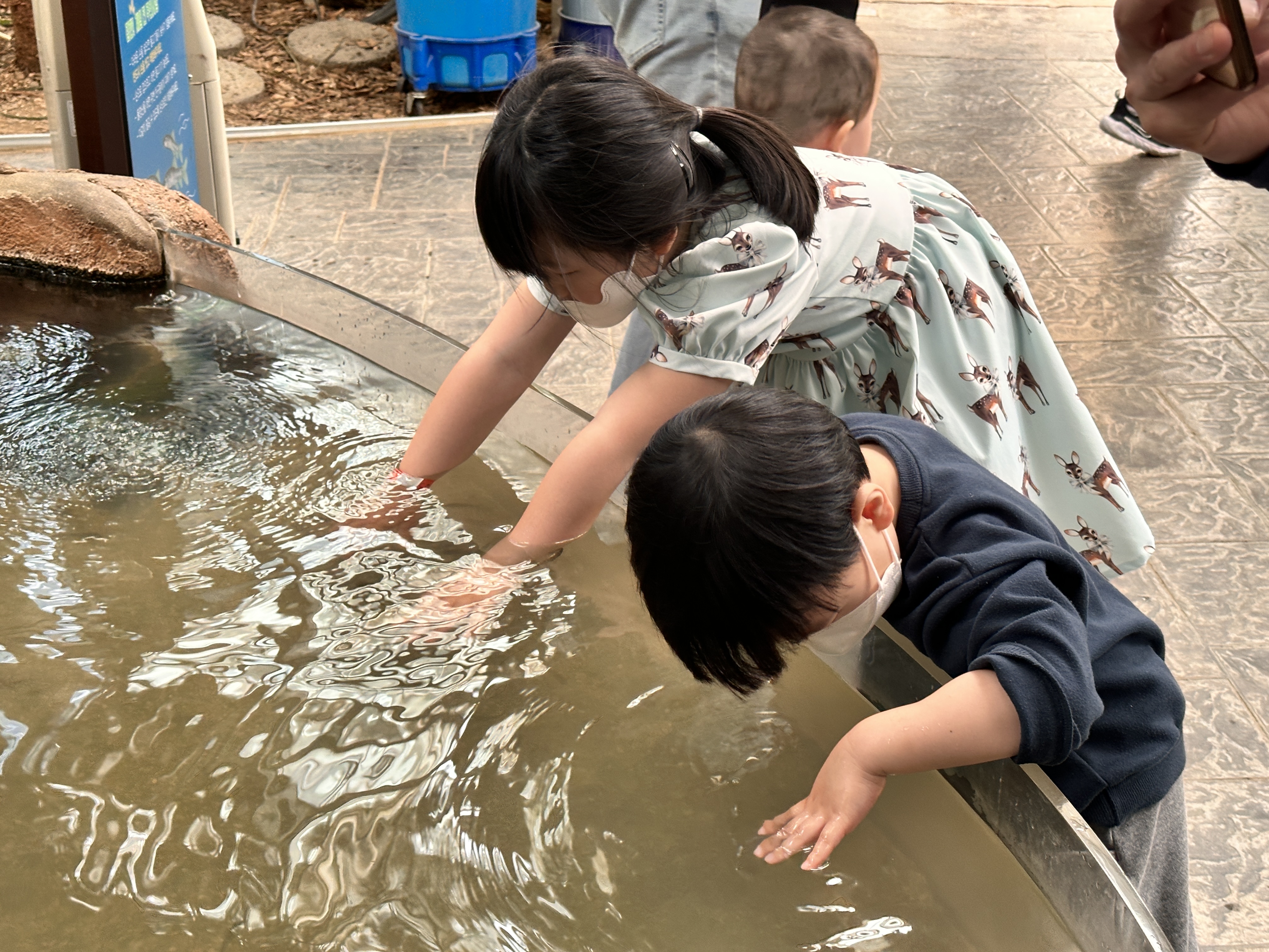 아산 곤충박물관