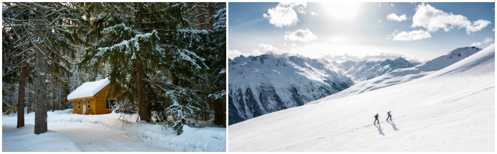 추운겨울을 표현하는 사진입니다.