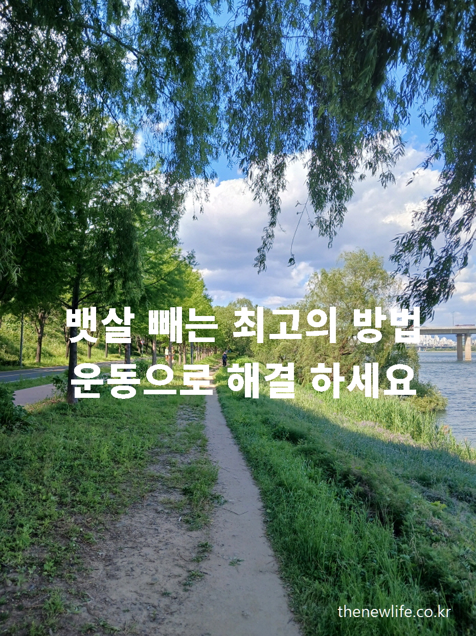 한강 자전거길 옆 흙길 산책로, 뱃살 빼는 최고의 운동법이라는 메시지가 강조된 건강 블로그 썸네일 이미지