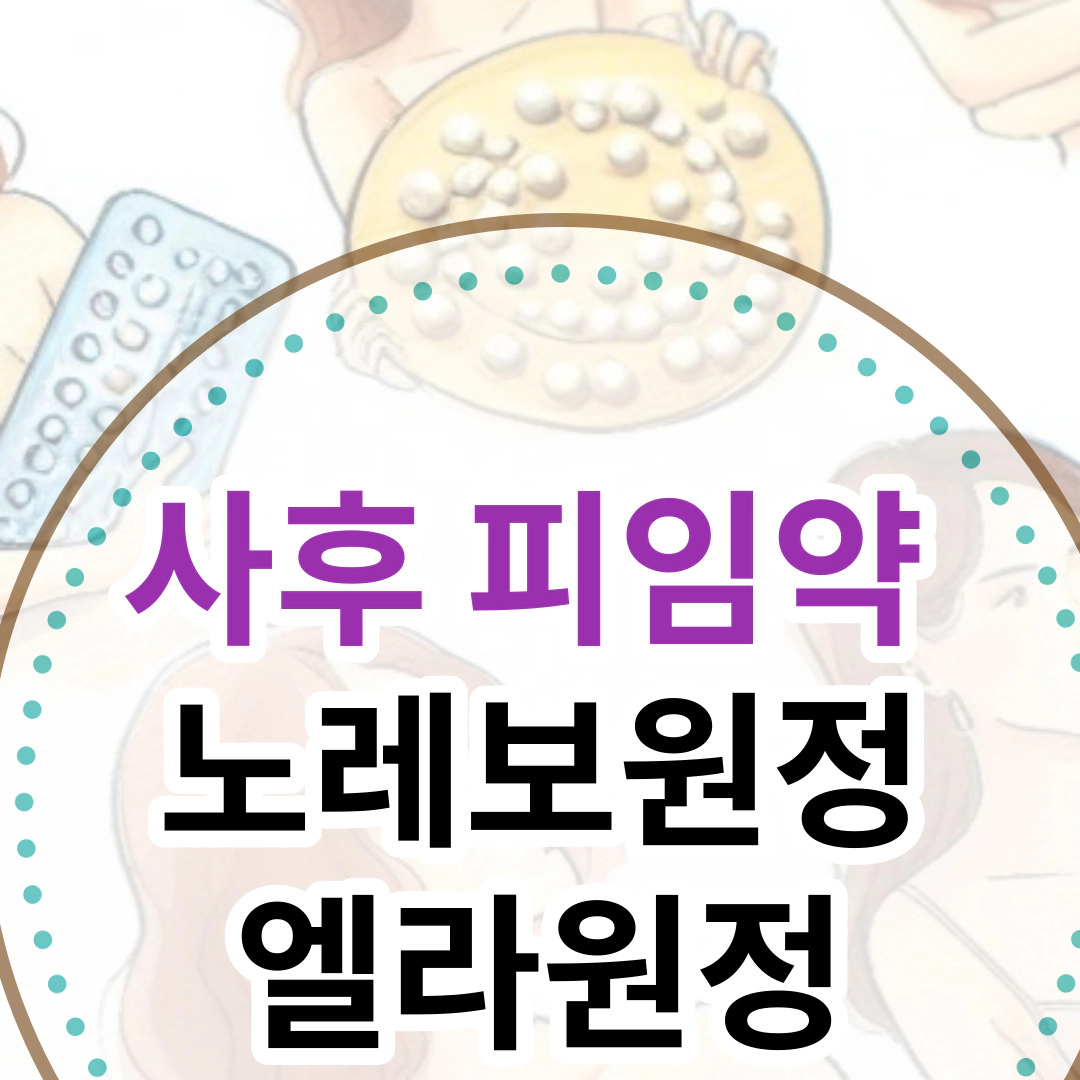 사후피임약: 노레보원정-엘라원정
