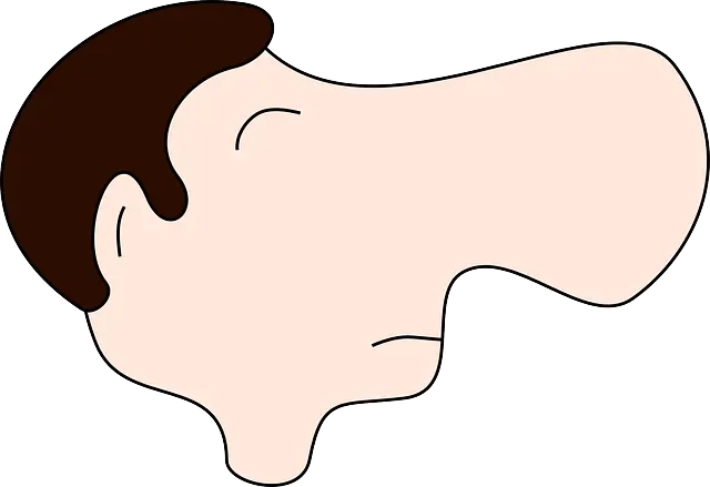 코털의 힘: 작은 털이 건강을 지배한다