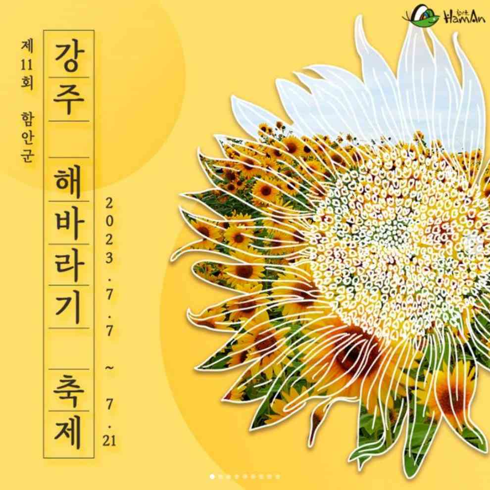 강주 해바라기 축제