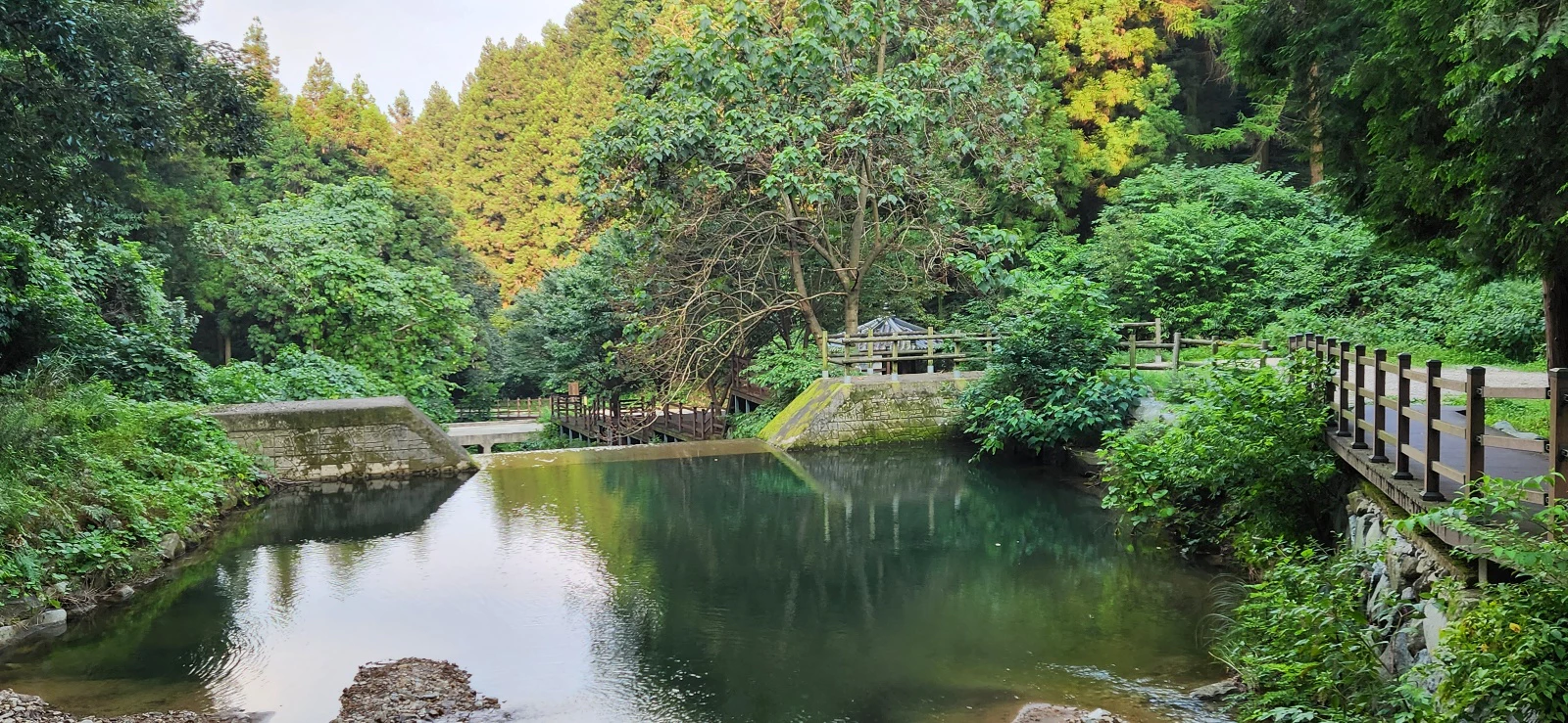 물이 불어난 장성 치유의숲 사방댐