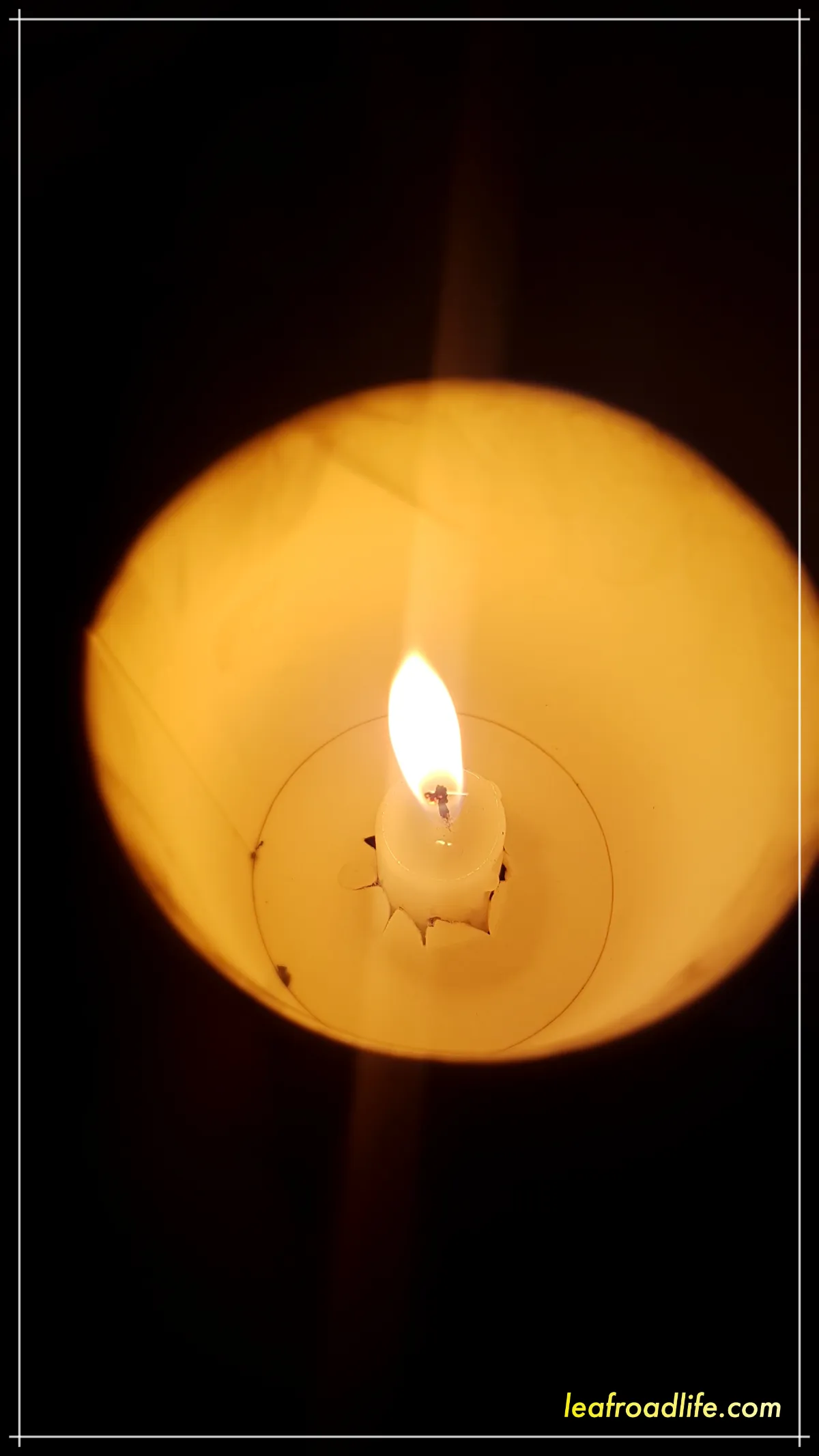 2016년-촛불-집회-종이컵-초