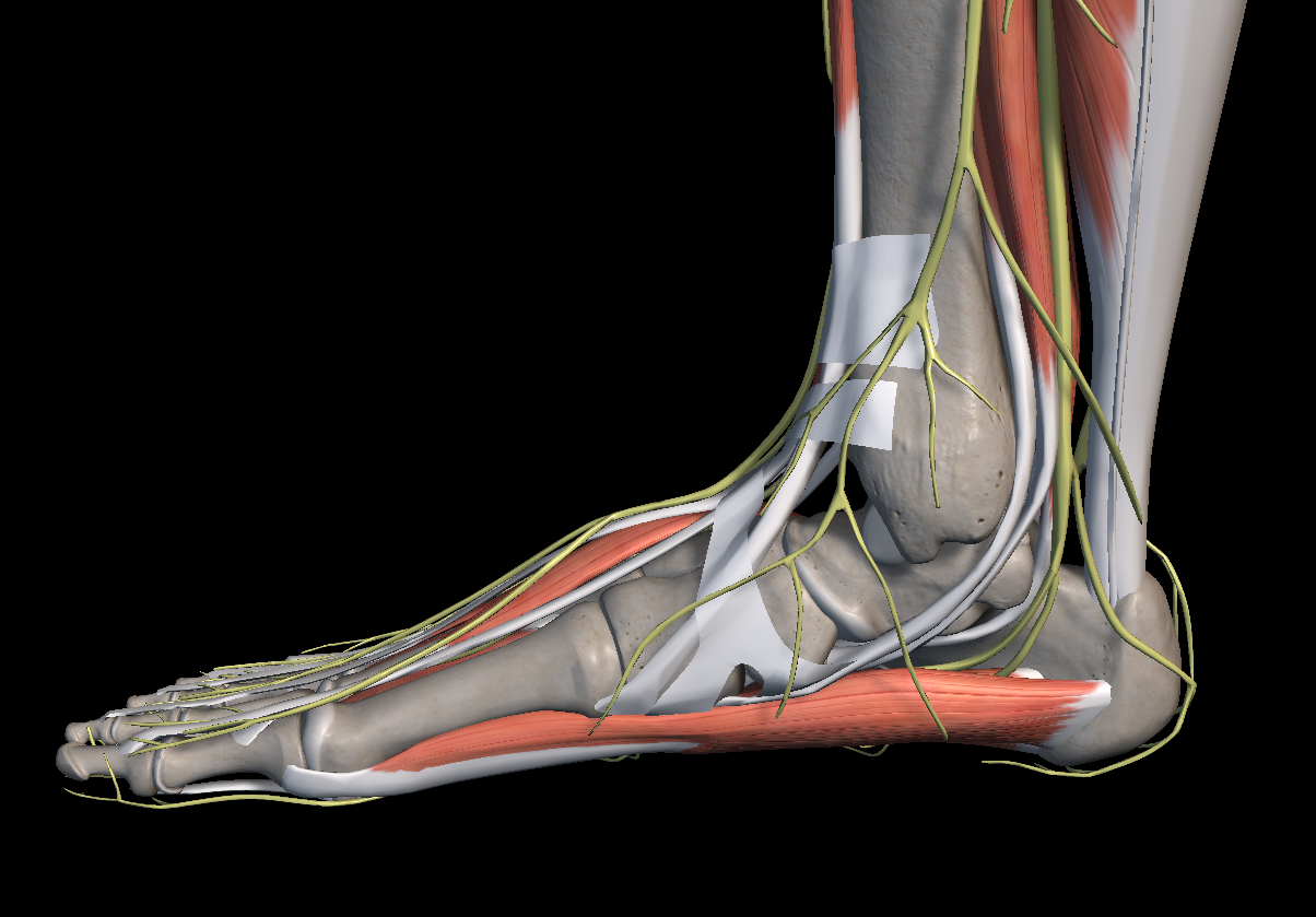 복숭아뼈 아래 통증 붓기 염증