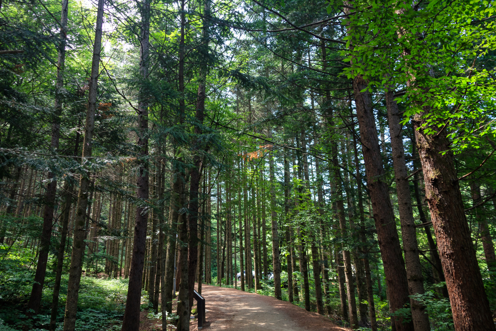 평창 가볼만한곳