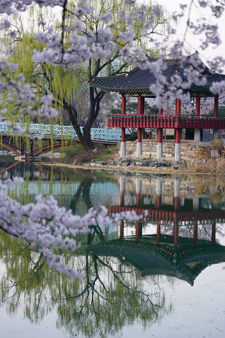 외국인이 본 한국의 계절 문화와 축제