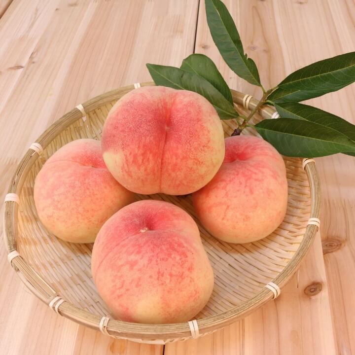 복숭아-4개-담겨-있는-사진