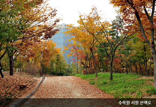 대전 한밭수목원 꽃구경