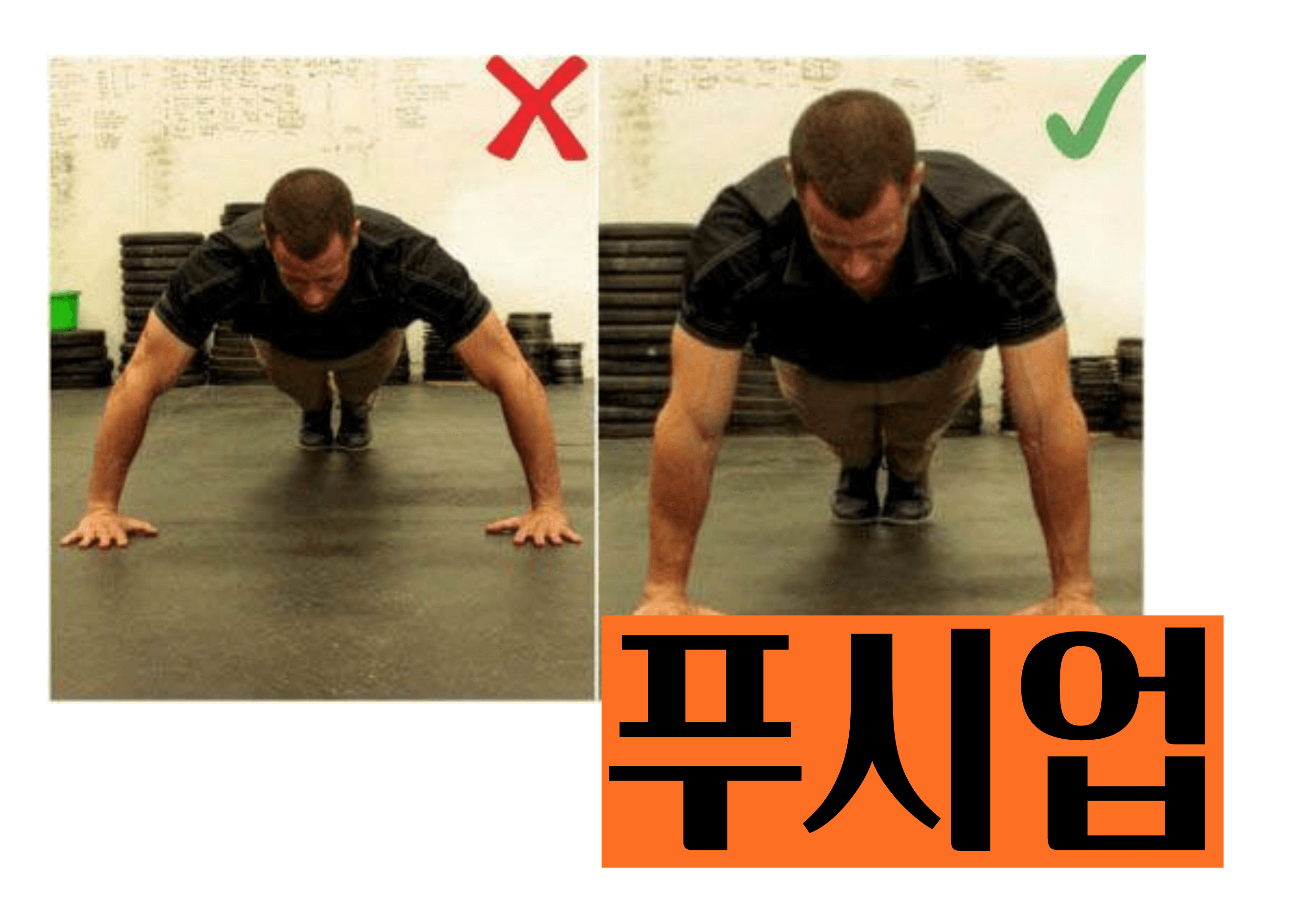 프리레틱스 홈트 푸시업