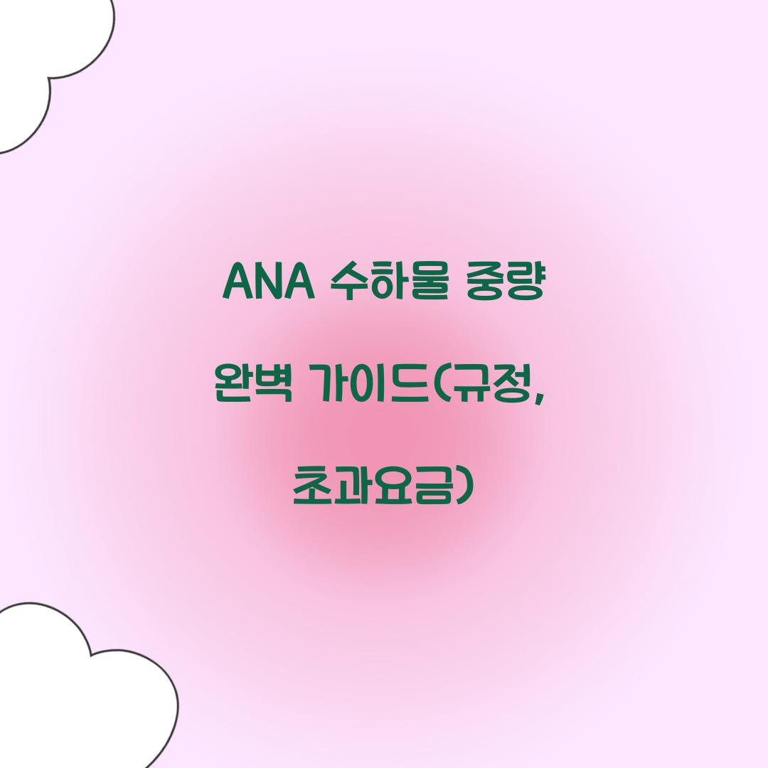 ANA 수하물 중량