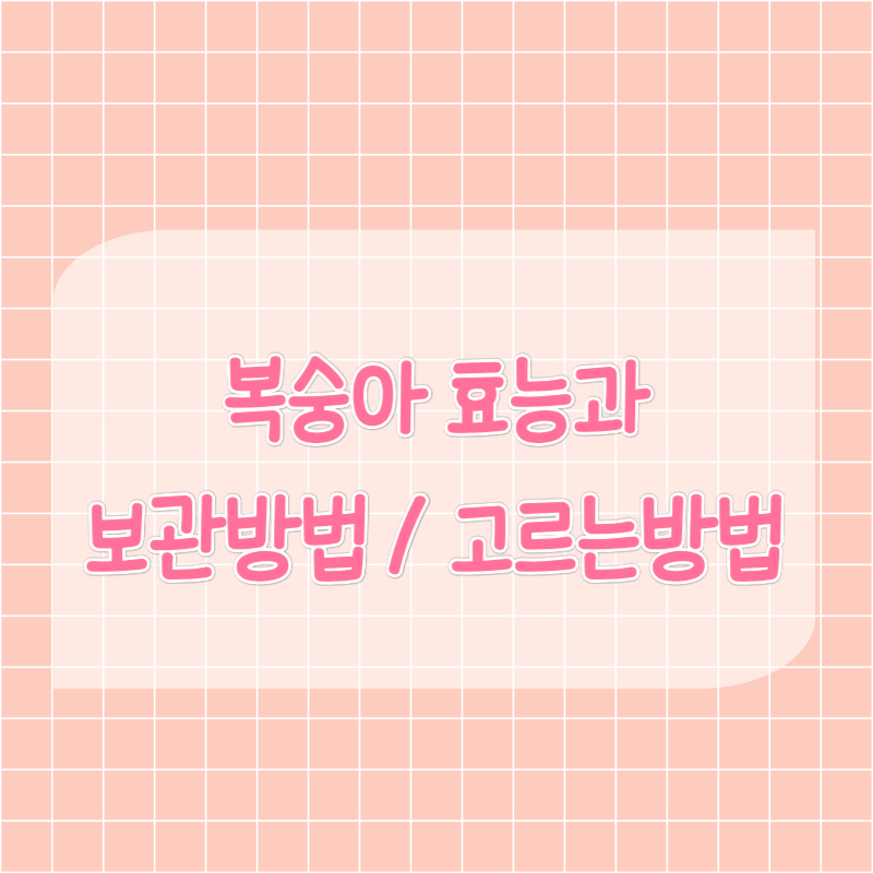 복숭아 효능과 보관방법/고르는방법 사진