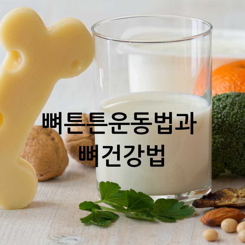 뼈튼튼운동법