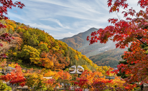화담숲 전경