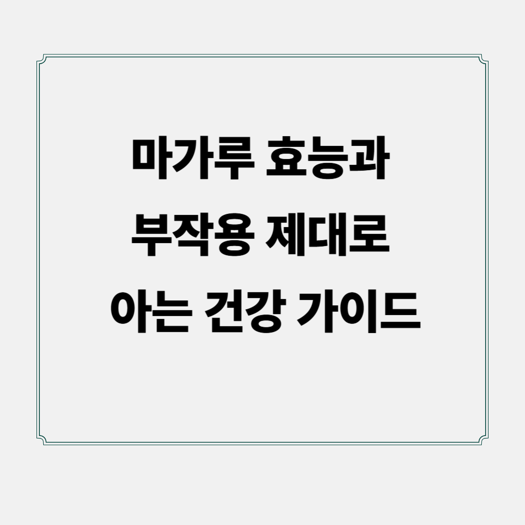 마가루 효능과 부작용 제대로 아는 건강 가이드