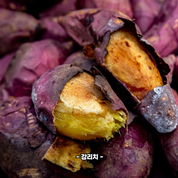 루테인 많은 음식