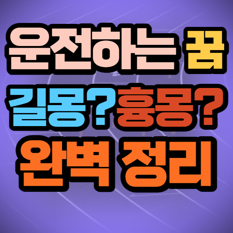 운전하는 꿈 (1)