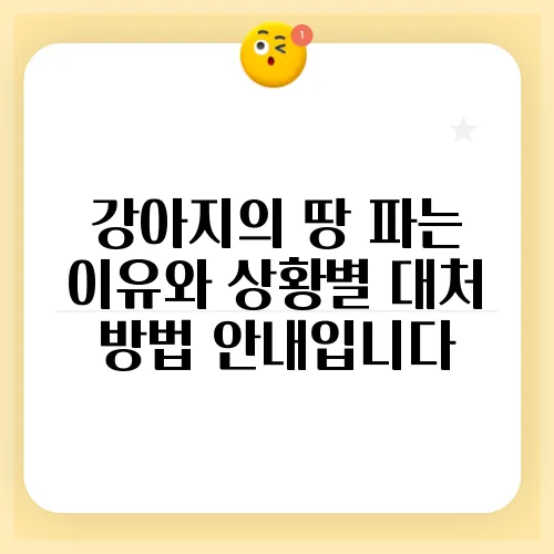 강아지의 땅 파는 이유와 상황별 대처 방법 안내입니다