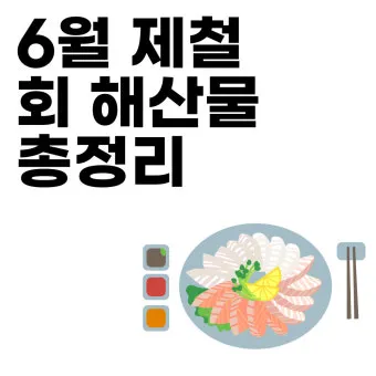 6월 제철회 종류별 신선한 해산물의 맛있는 향연_3