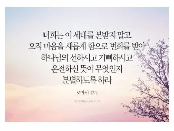 로마서 12장 1절 해석 - 그러므로 형제들아 내가 하나님의 모든 자비하심으로 너희를 권하노니_24