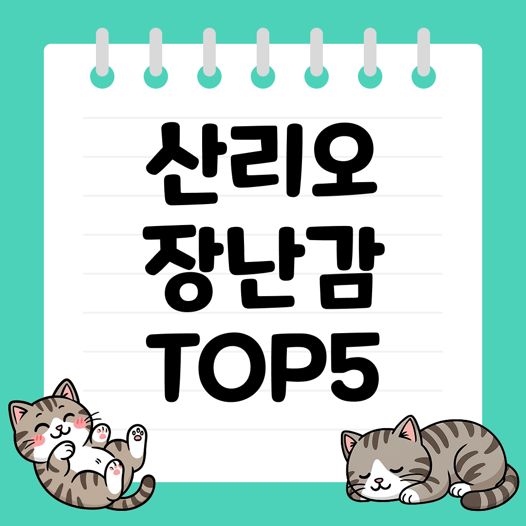 아이 선물용으로 좋은 캐릭터 완구, 산리오 장난감 추천 순위 TOP5
