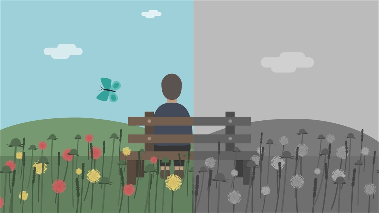 비교하는 마음 관련 이미지