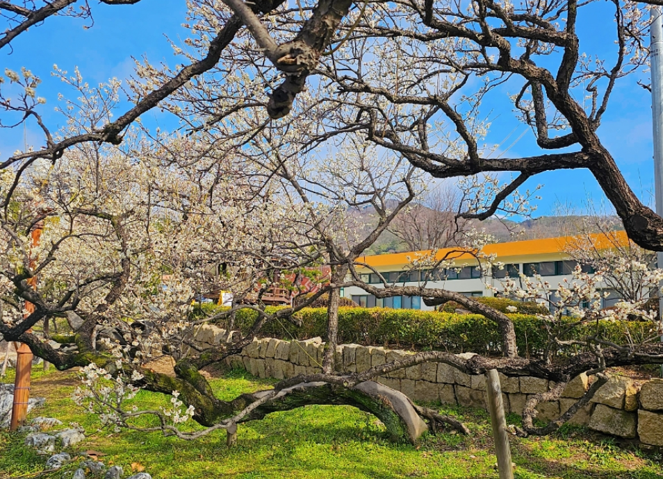 김해 김해건설공업고등학교1