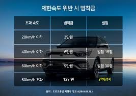 과태료와 범칙금의 차이