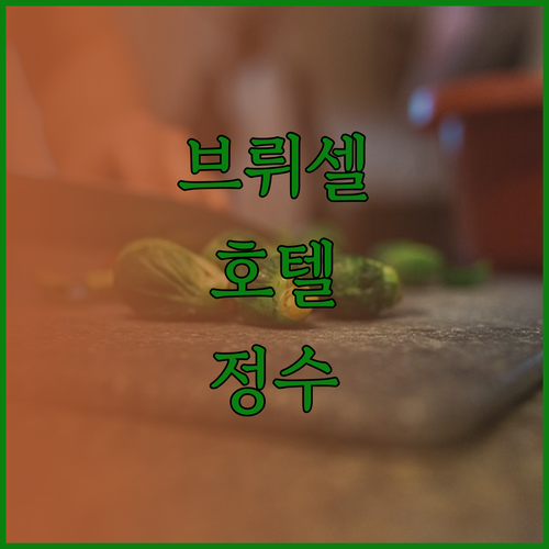 호텔 플로리스 아를캥 그랑 플라스에서