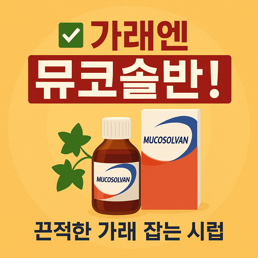 뮤코솔반 썸네일