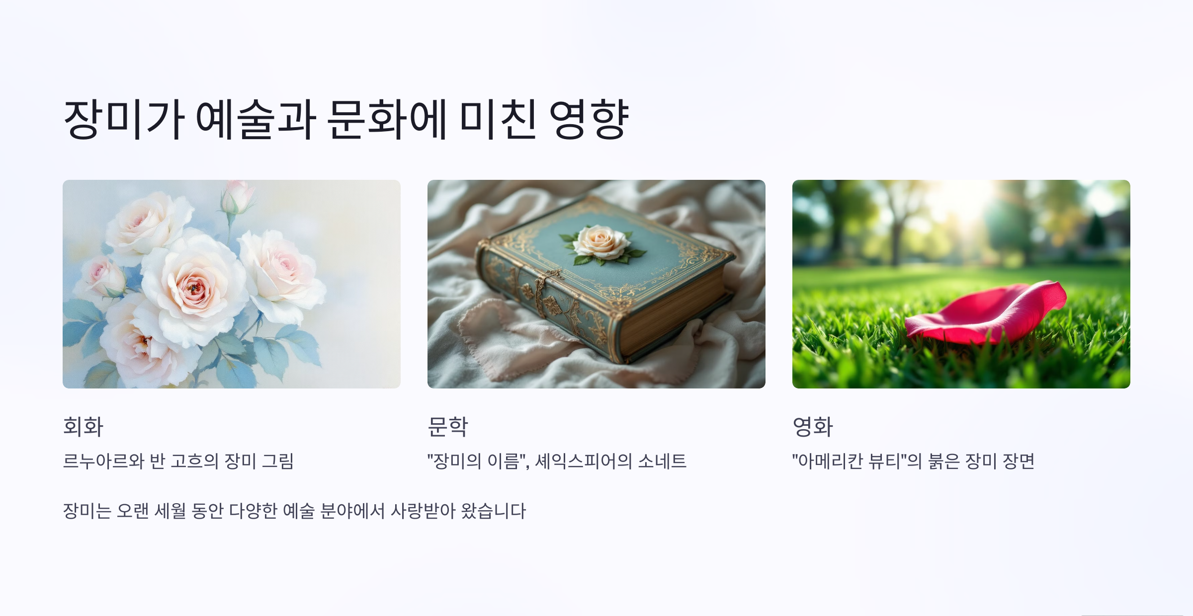 장미 문화사진