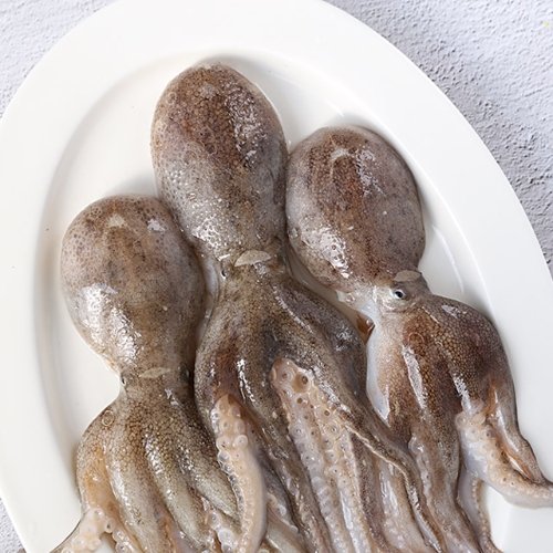 봄 제철음식 쭈꾸미