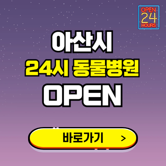 아산시 24시 동물병원 진료하는 곳 ❘ 설날 휴일 야간 심야 문여는곳 찾기 ❘ 응급진료