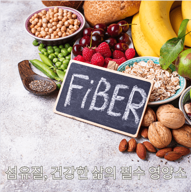 섬유질