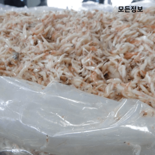 새우젓사진