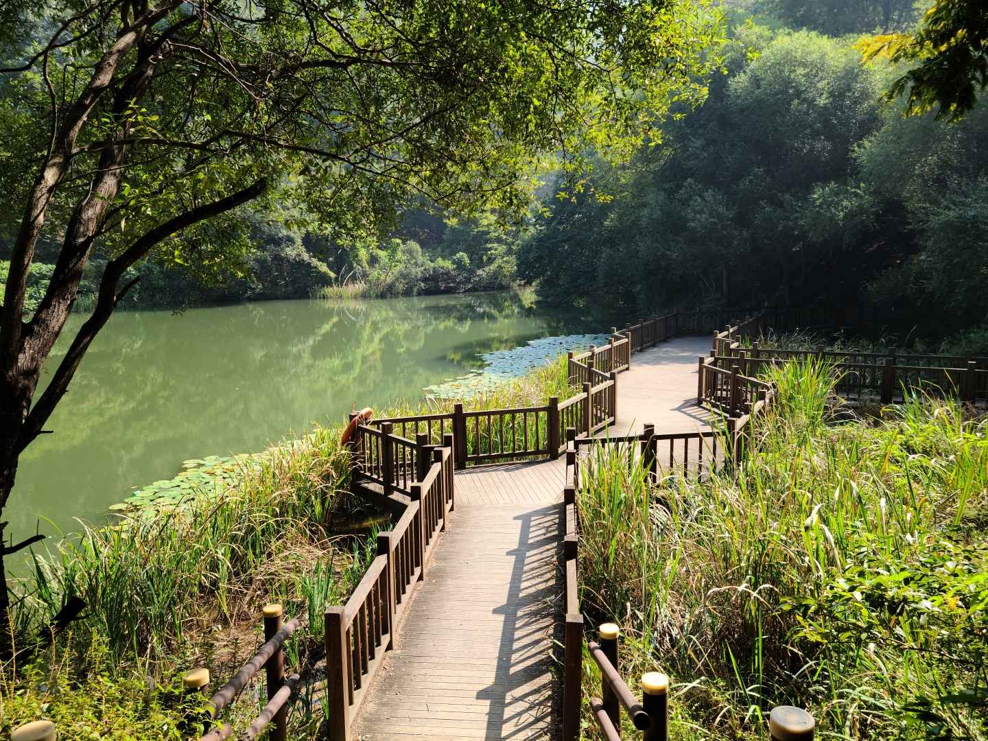 계족산 트레킹
