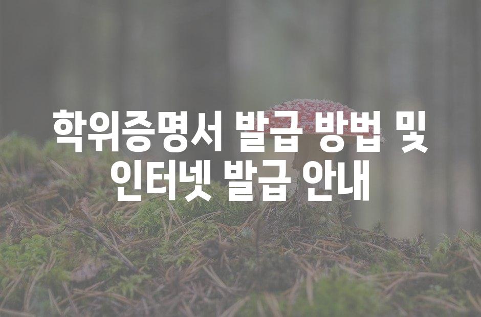 샘플 (42)