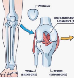 연골연화증 증상