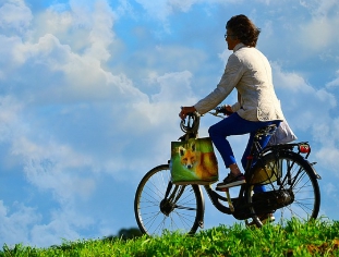 근육량을 유지하면서 체지방만 줄이는 다이어트 전략
