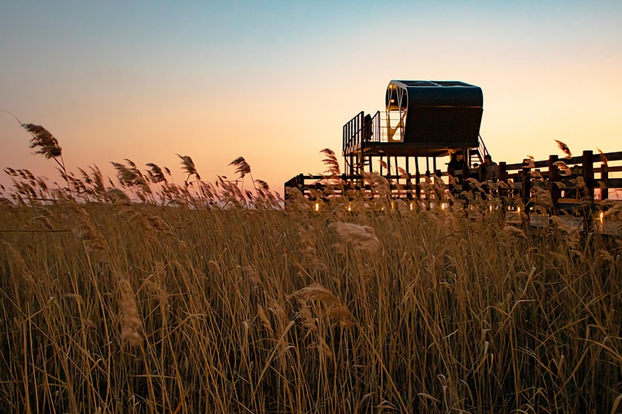 다대포 해수욕장 갈대밭 사진