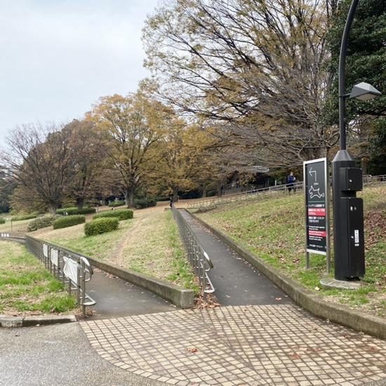 도쿄 여행 , 요요기공원 관련 사진